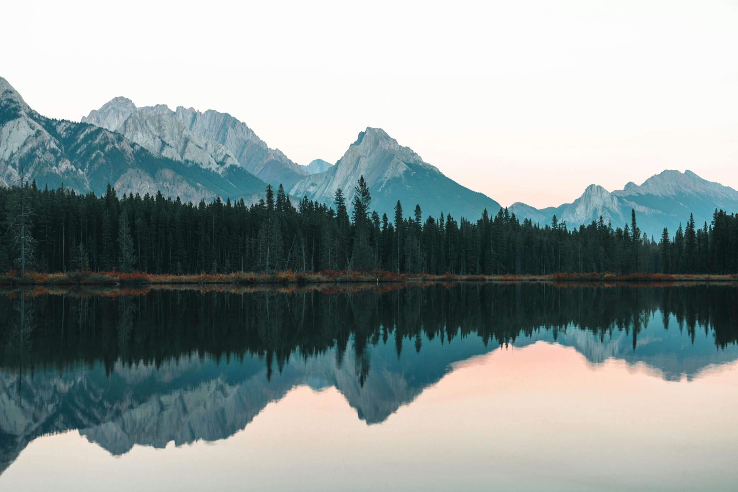 pexels-lureofadventure-19013057